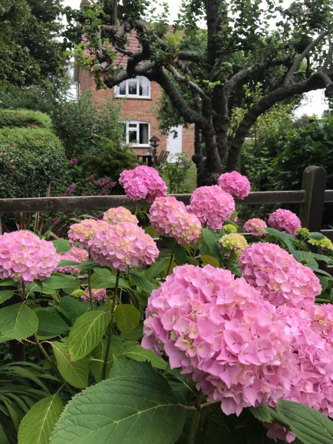 Church Farm, Legbourne Louth 外观 照片
