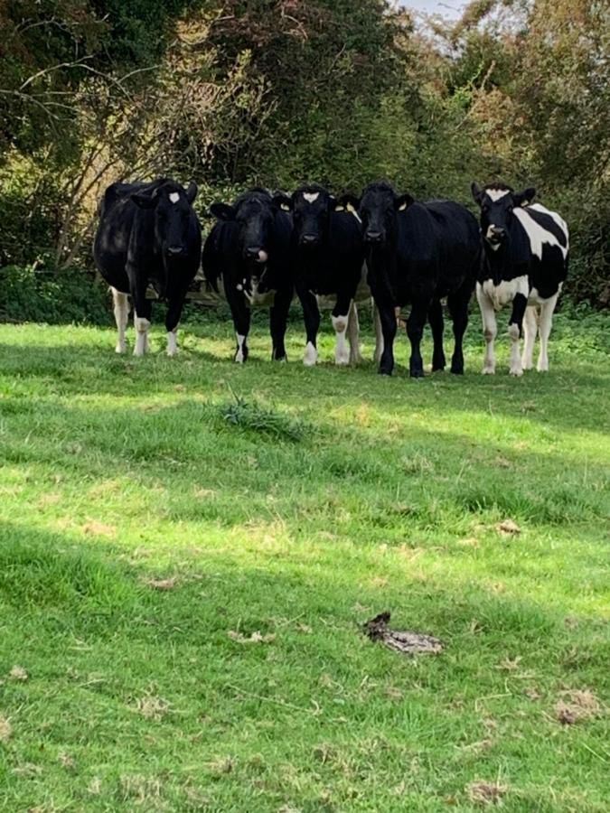 Church Farm, Legbourne Louth 外观 照片