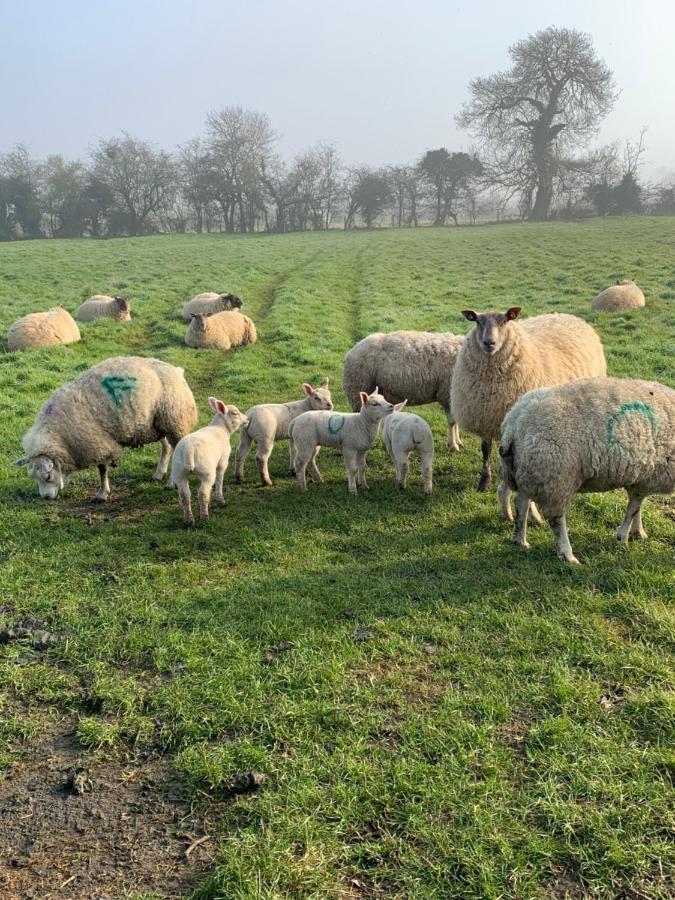 Church Farm, Legbourne Louth 外观 照片